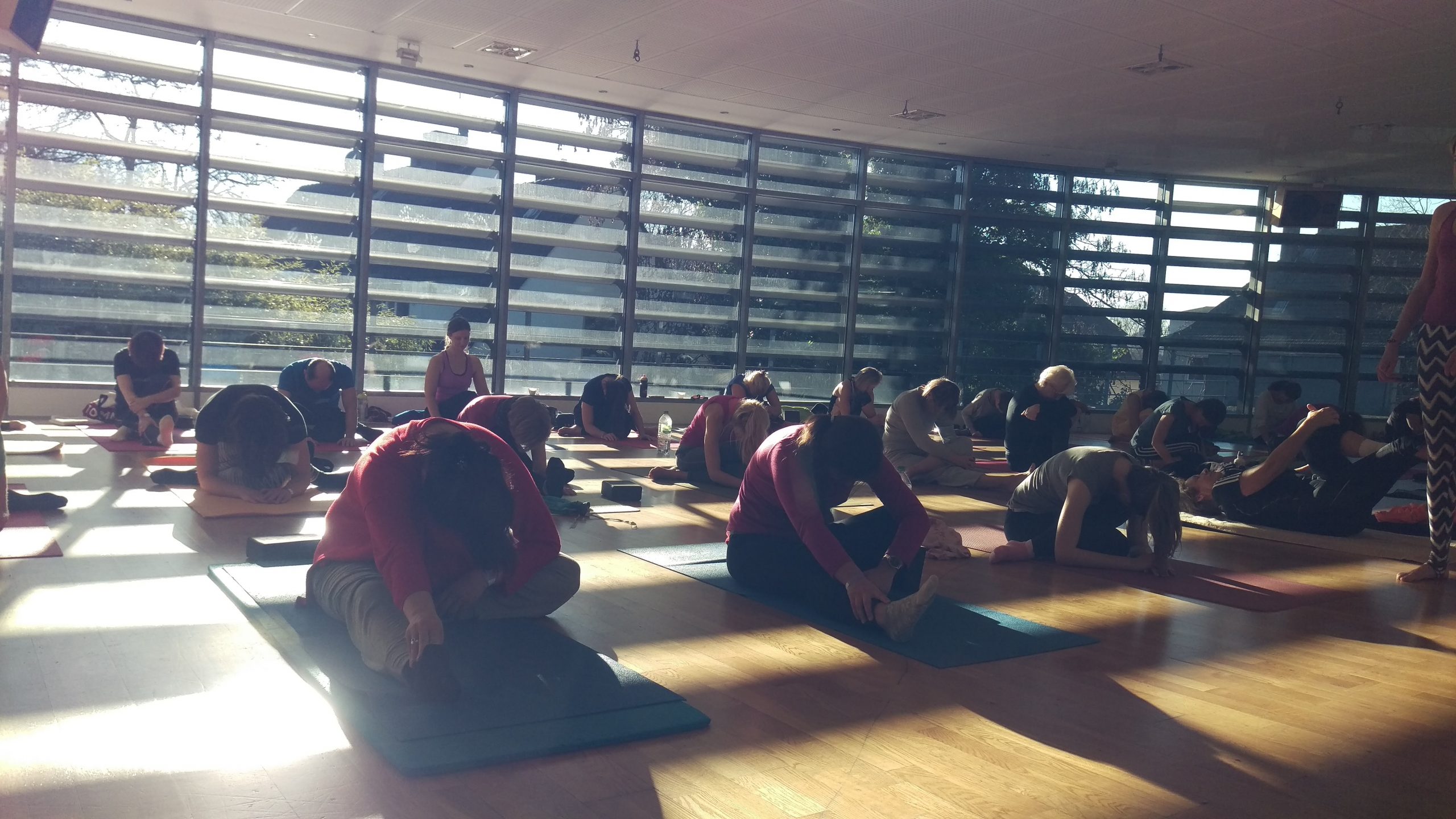 Rishikesh Yoga im VITA Gesundheit am Kaiserberg | VITA Gesundheit