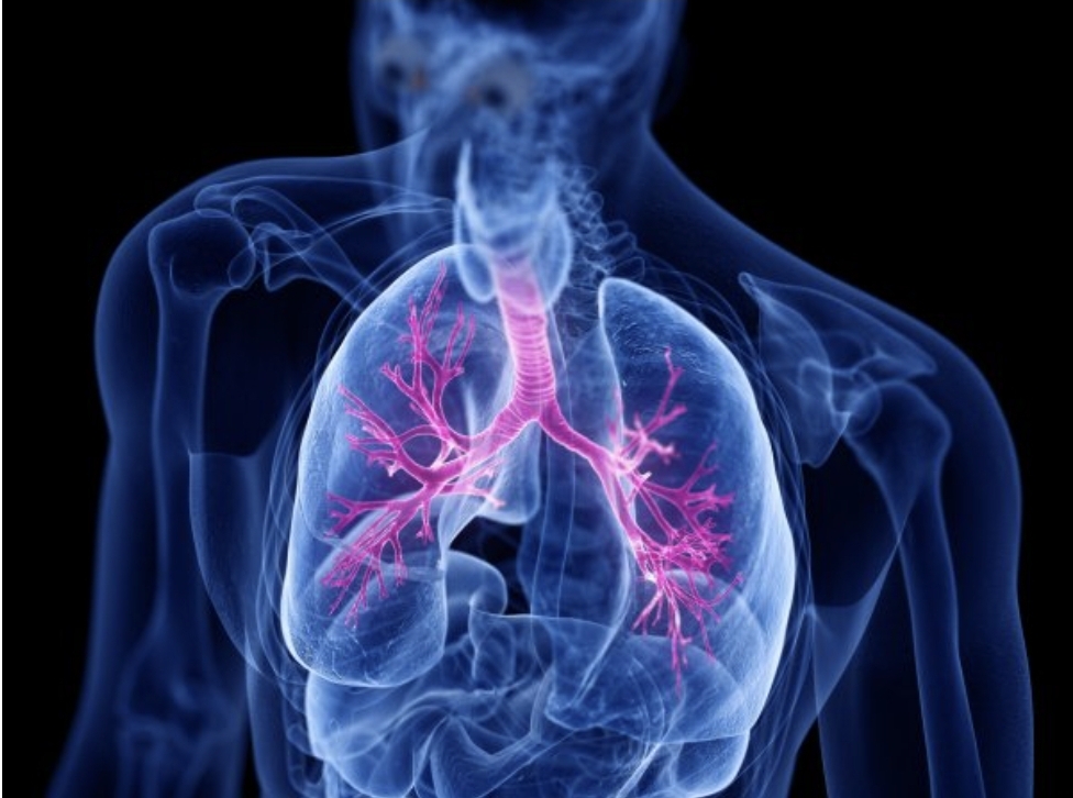 COPD-eine-chronische-Lungenkrankheit